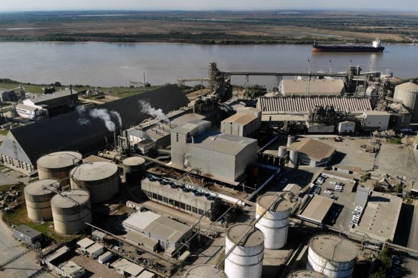 Acreedores piden documentos de agroexportadora argentina Vicentin a tribunal de Nueva York