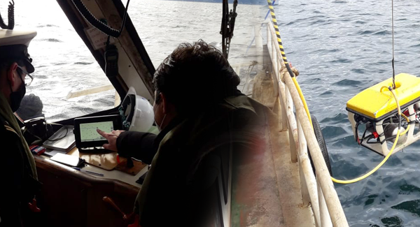 <p>Blumar ha recuperado 19 mil salmones y autoridad pide plan especial</p>