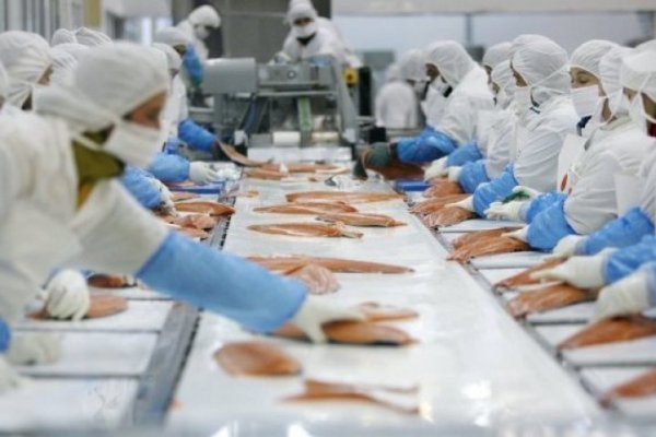 <p>Corte de Punta Arenas sanciona a Nova Austral por entrega de información no fidedigna</p>