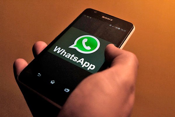 Las desconocidas conversaciones de WhatsApp entre los ejecutivos de Chilena Consolidada