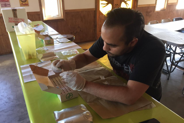 La muestra puede ser realizada por cualquier persona que esté en el centro de cultivo y no necesita ser derivada a un laboratorio.