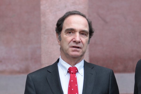 Ministro Larraín aclaró que retiro forzoso del 10% de los fondos para el pago de pensiones alimenticias podría ser inconstitucional