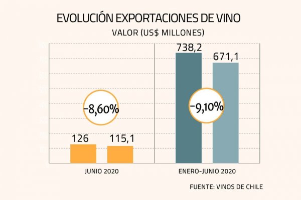 Viñateros ven punto de inflexión: exportaciones subieron en junio