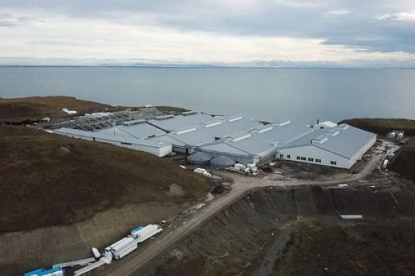 Nova Austral busca reestructurar bonos y propone plan para recuperar liquidez