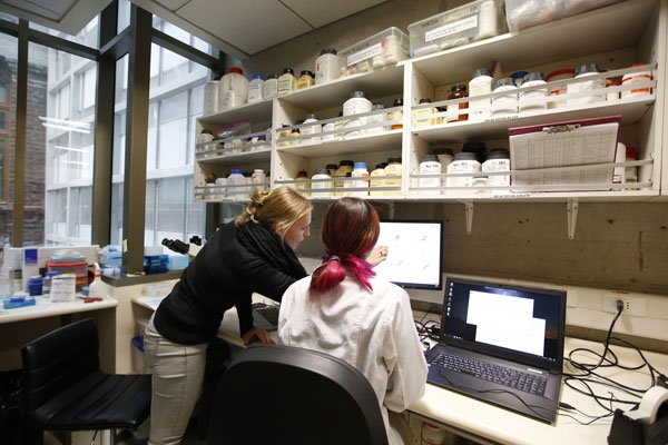 Laboratorio de Ciencias Biológicas, UC.