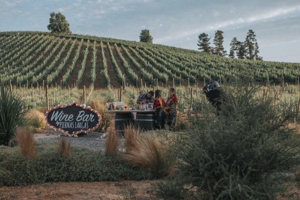 <p>La empresa tiene dos años abriéndose camino en el mercado del vino.</p>