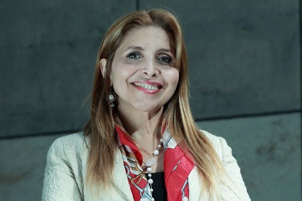 “Es un proyecto de alto riesgo financiero”, enfatizó Pamela Gidi, titular de la Subtel.