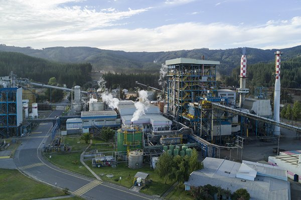 Ante falta de agua, Arauco estudiará reutilizar sus efluentes para riego in situ