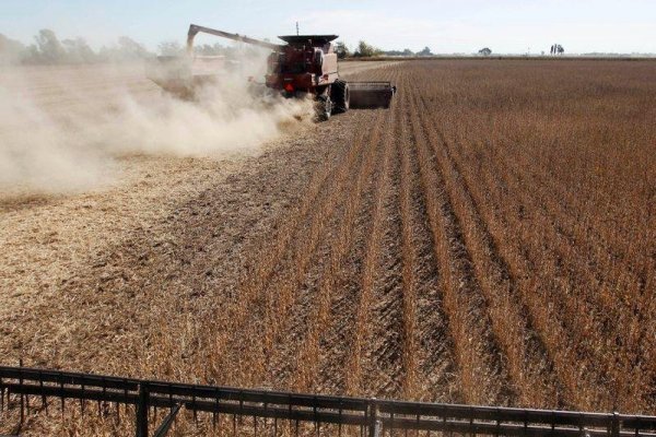 El plan de la cerealera argentina Vicentin para generar ingresos tras la muerte de uno de sus dueños