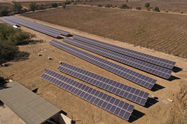 El proyecto cuenta con 1.255 paneles solares distribuidos en una planta en suelo.