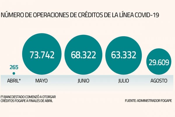 53% caen los créditos Covid-19 en agosto y Briones propone volver al antiguo Fogape