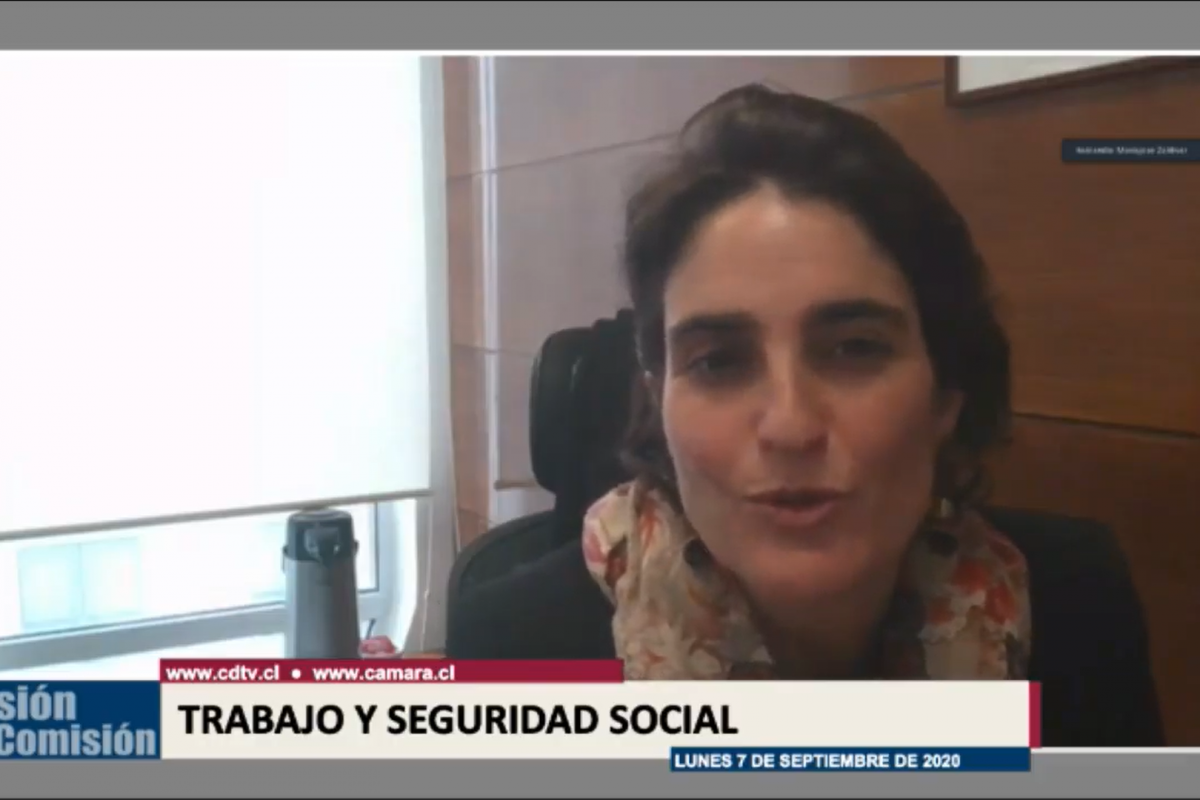 <p>Proyecto para incorporar a trabajadoras de casa particular al Seguro de Cesantía avanza con rapidez y podría ser Ley esta semana</p>