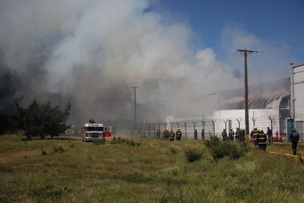 Camanchaca tras incendio en planta de Talcahuano: aún no hay evaluación de los daños, pero ya se activaron los seguros