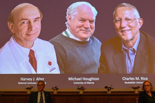 Nobel de Medicina para los científicos que identificaron el virus de la Hepatitis C