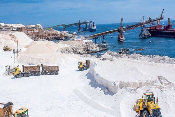 El rápido ascenso en el negocio de la sal del fondo estadounidense detrás de la compra de matriz de Sal Lobos