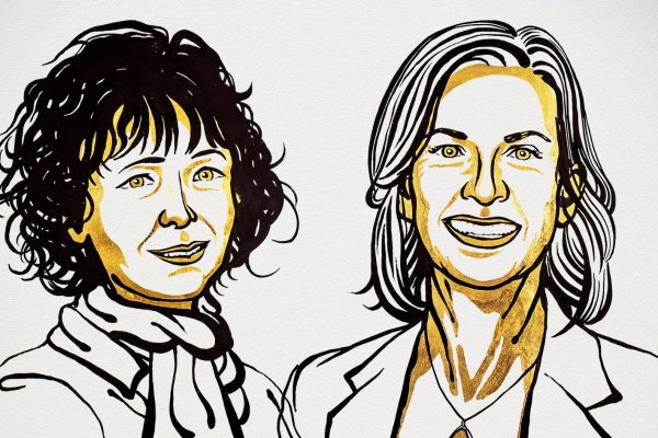 Nobel de Química para las científicas que crearon las tijeras de edición genética