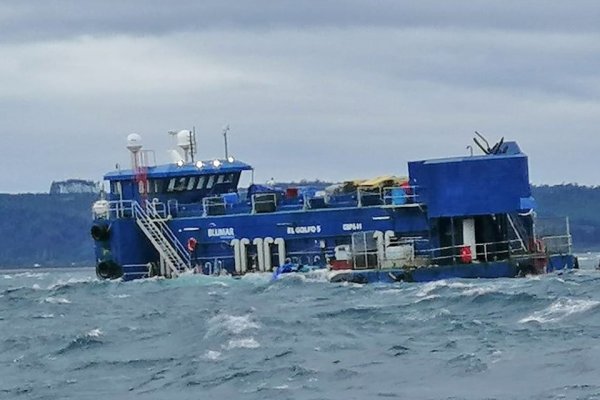 <p>SMA ordena nuevas medidas contra Blumar tras hundimiento de jaulas con salmones</p>