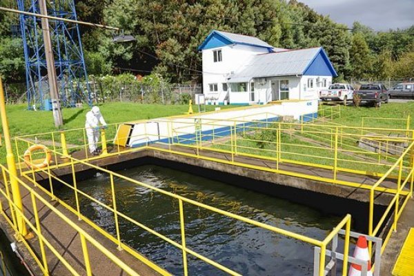 Aguas Andinas concreta la venta de su participación de Essal a la canadiense Algonquin