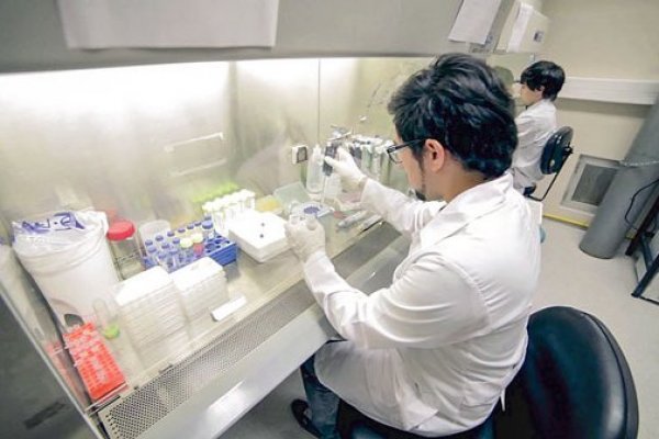 El plan de reapertura considera un piloto de operación continua para los laboratorios de física y biología.