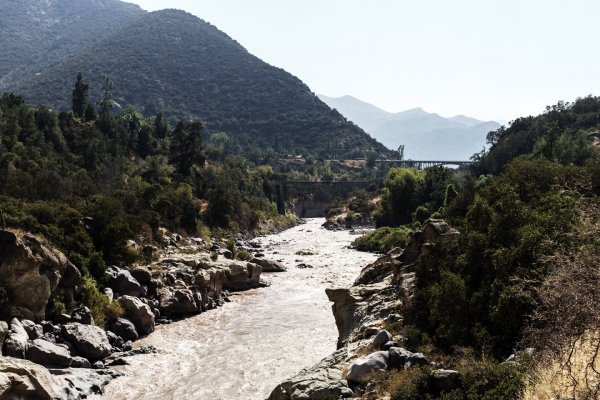 Un 20% de la superficie del Bosque Espinoso costero ha perdido la cuenca del río Maipo en los últimos 20 años.