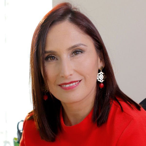 Nueva Constitución, medio ambiente y equidad intergeneracional