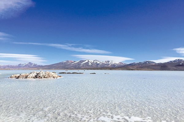 En Maricunga hay otras empresas con pertenencias, como Salar Blanco.