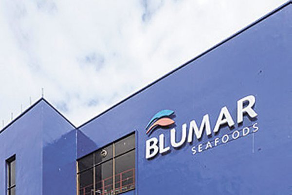 Los salvavidas que mantienen a flote a Blumar Seafoods