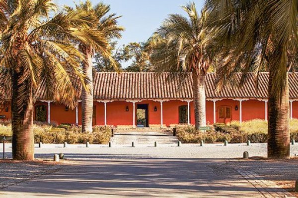 Viña Santa Rita prepara nueva etapa en e-commerce tras auge de este año