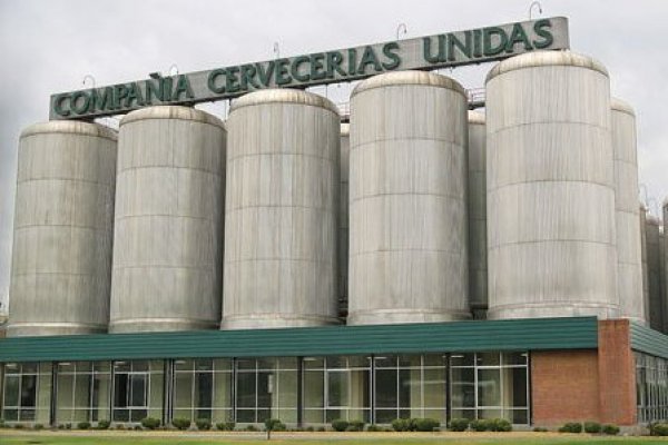 Pisquera ligada al Grupo Luksic puso a la venta su participación en peruana Bodega San Isidro