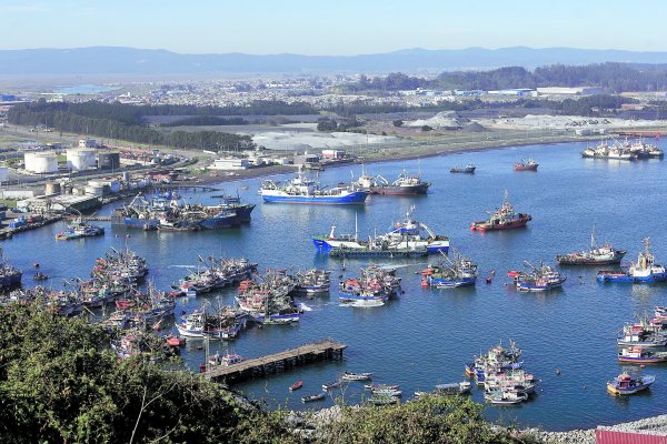 Ley de Pesca modifica aspectos sobre sustentabilidad de recursos hidrobiológicos, acceso a la actividad, y regulaciones para investigación y fiscalización. Foto: Agencia Uno