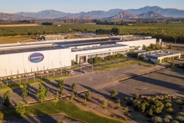 Ingresos de Agrosuper crecen levemente al tercer trimestre, pero segmento acuícola sigue siendo su piedra de tope