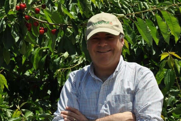 Exportadores de fruta elevan resguardos por nuevos protocolos en China y advierten complicaciones para la cosecha por el rebrote