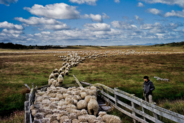 imagen de la exposición Patagonia, de Tomás Munita.