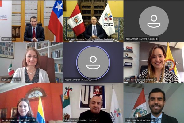 Un año de comunicación virtual tuvieron los viceministros del grupo.