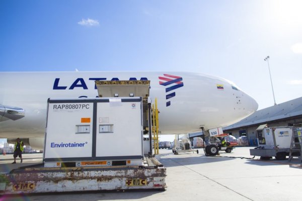 <p>Latam Cargo contó que ya está "trabajando muy de cerca con Brasil, Chile, Perú, Colombia y Ecuador", dijo la gerenta general de la división. Foto: Reuters</p>