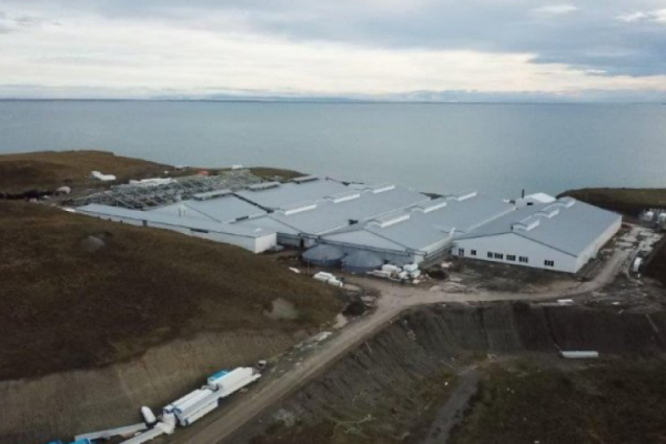 Nova Austral recupera acreditación para dos centros de cultivo de salmón y busca extenderla a toda su operación