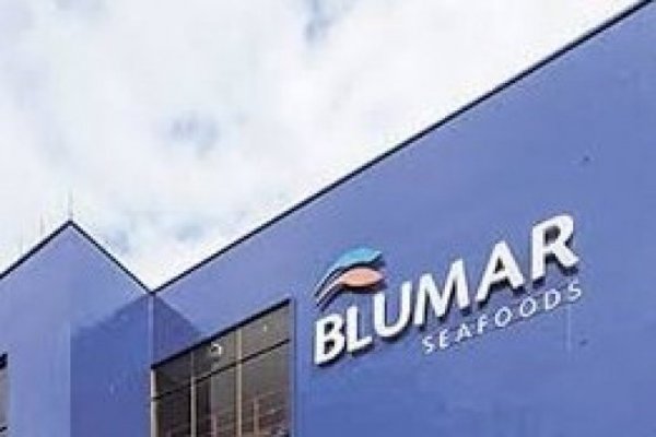 Blumar logra suscribir reprogramación de sus pasivos y nuevo financiamiento por US$ 300 millones