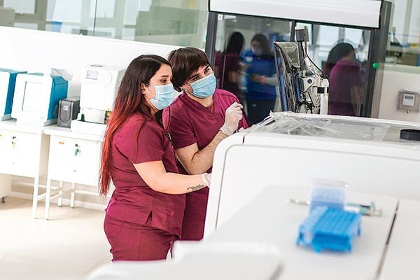 Continúa recuperación del mercado laboral: Cae la tasa de desempleo y se crean 246 mil nuevos puestos de trabajos, la mayoría informales