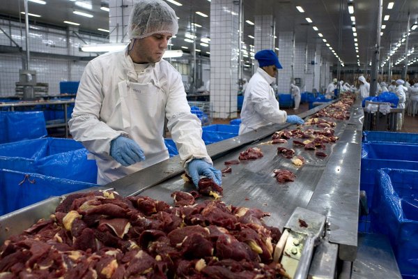 Informe denuncia “mano de obra esclava” en ranchos que abastecen a principales productores brasileños de carne