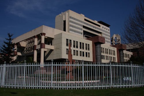 Diputadas presentan proyecto que sanciona como “discriminación arbitraria” la diferencia salarial que exceda el 20% entre hombres y mujeres