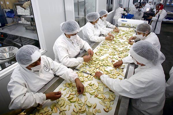 Análisis de la CMF al Fogape plantea sugerencias de mejora