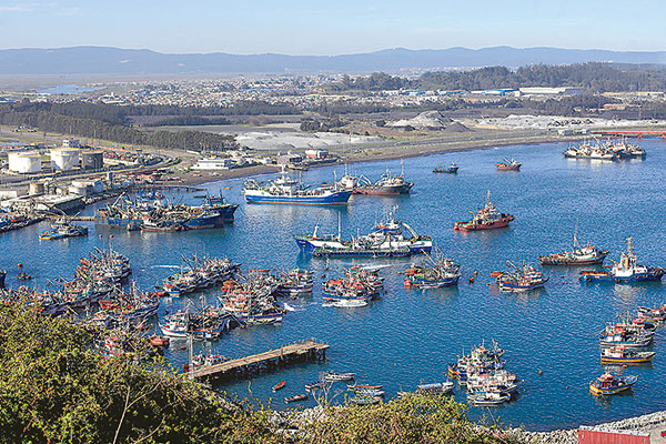 Proyecto que prohíbe pesca de arrastre de la merluza avanza en el Congreso