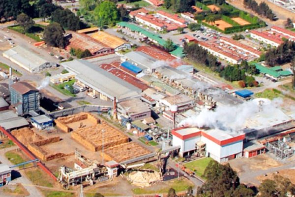 Cierra papelera en Concepción y prevé usar terreno en negocio inmobiliario