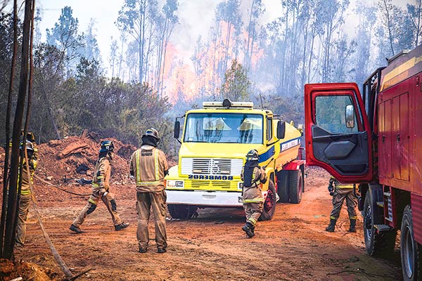 Conaf y forestales se preparan para etapa más dura de los incendios