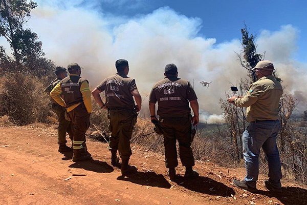 Incendios en la V Región dejaron más de 4.800 hectáreas consumidas por los siniestros