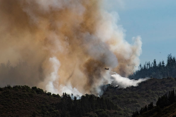 Aunque más del 90% de los incendios se inician por el actuar humano, las altas temperaturas son un factor muy importante. Foto: Agencia Uno