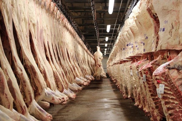 Colombia reanuda sus exportaciones de carne a Chile poniendo fin a la restricciones impuestas en 2018