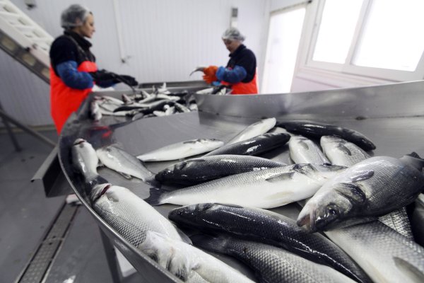 La vieja Pescanova se dispara en bolsa al anunciar su vuelta a Sudamérica