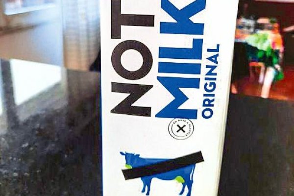 Guerra de la leche suma un nuevo actor: Ganaderos de Osorno apoyan demanda contra NotCo