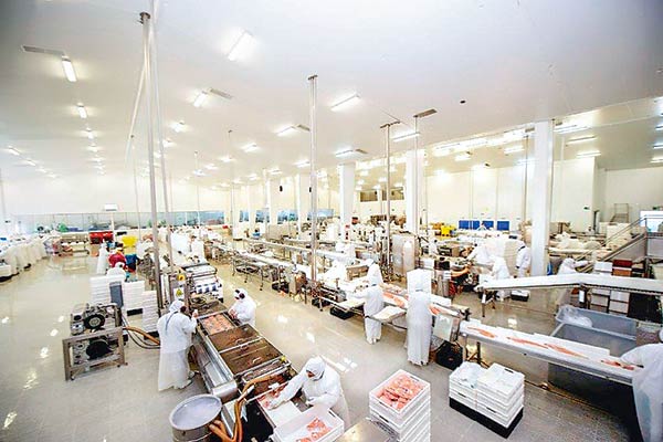 Planta de Multiexport dejó de enviar residuos a relleno sanitario